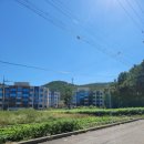 다인타운 이미지