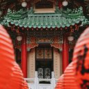 투어 365 여행사