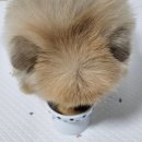 베럴라이프(BetterLife) 이미지