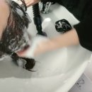 뉴부자 | 봄맞이 헤어클리닉 커트 feat 숱부자 in 길음뉴타운 미용실 모먼트영영