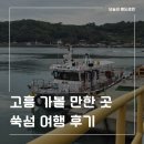 그루밍 스팟 | 고흥 가볼 만한 곳 쑥섬 여행 후기, 배시간부터 힐링코스까지