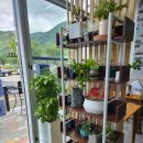 사림동165 이미지