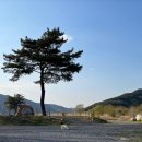 논공축구장 | 구지강변오토캠핑장에서 3살아들과 함께 하는 첫 캠핑!