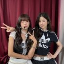 판다탕후루 운정점 | Apink 초롱 보미 FANMEETING TOUR MATCH ♥ IN SEOUL ✨/ 성신여대 운정그린캠퍼스 대강당 시야 후기