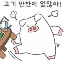 뒷동산낙지 네이버블로그