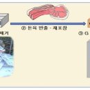 논산계룡축산업협동조합 축산물유통센터 이미지