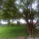 유 행정사사무소 이미지