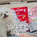 도그비잉 펫케어 | 강아지 구강관리 루틴｜도그시그널 덴탈 베이직·플러스 급여 후기