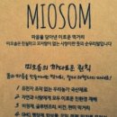 미오솜(MIOSOM) 네이버블로그