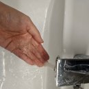 하이케어 | 시원한 두피샴푸 추천 피디하이 하이옴 올라운드 스칼프 케어 샴푸 후기