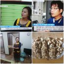 홍천강 이야기 이미지