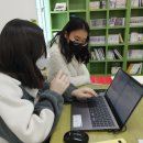 블루스타 이미지