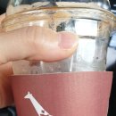 바링고빈스 이미지