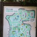 꽃과나무 | [제주 성서식물원 비블리아] 성경의 꽃과 나무를 테마로 조성된 성서 식물원