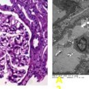조병수의원 이미지