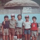 백초초등학교 이미지