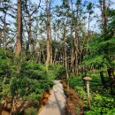 자산솔밭공원 이미지