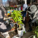 적성식물병원 이미지