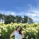 대경분식식당 - 포항시 북구 청하로 229 | 속초 당일치기 코스 추천 및 후기(안 알려진 인생샷 건질 수 있는 곳, 소품샵 추천 )