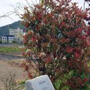 시인의 공원 이미지