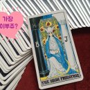 재미있는 타로이야기 이미지