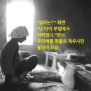 울엄마 부엌