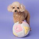 스타일 멍멍 이미지