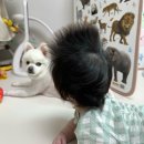 도경실업 | 뒤죽박죽 올해 첫 여름 기록