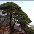 황산민박 이미지