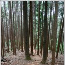 갈맷길(6-2구간) 이미지