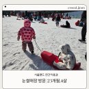 서울이용권 | 서울랜드 연간 이용권 후기 ｜눈썰매장 포함 7~8번 다녀보니