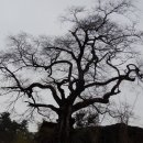 순천생태마을 이미지