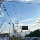 반계초등학교 | 반계리 은행나무 2일 연속 방문 후기 (단풍 절정, 주차, CCTV 확인, 추워서 어묵먹음)