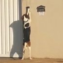 가족_앞_CCTV 이미지