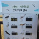 순천만 갈대밭 🌾🌾 이미지