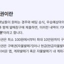 선용목장 이미지