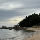 인천 신시모도[수기해수욕장&amp;배미꾸미 조각공원] 서울근교가볼만한곳 서울근교바다 인천가볼만한곳...