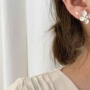 함초롬플라워 이미지