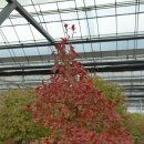 추계농장 이미지