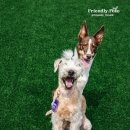 파주힐링몽 이미지