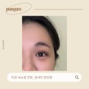 하와뷰티 | 미금역 속눈썹 펌&연장_섬세이 분당점 후기