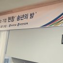 허니제인