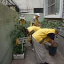 광안 경로당 이미지