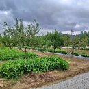 현풍농장 이미지