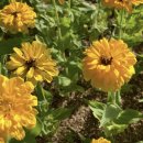 고령낚시 이미지