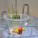 봉봉이 놀이터 이미지