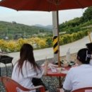 산마늘이사는펜션