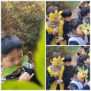 하늘키즈어린이집 | 우리들 자연학교 11월 13일 브레인 키즈 스쿨 어린이집 다람쥐샘반 수업 후기