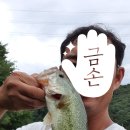 옥산제방 이미지