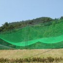 봉덕초교 이미지